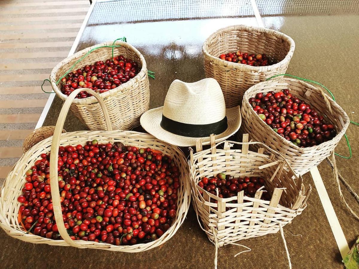 ארמניה Finca Hotel La Quinta Porra מראה חיצוני תמונה