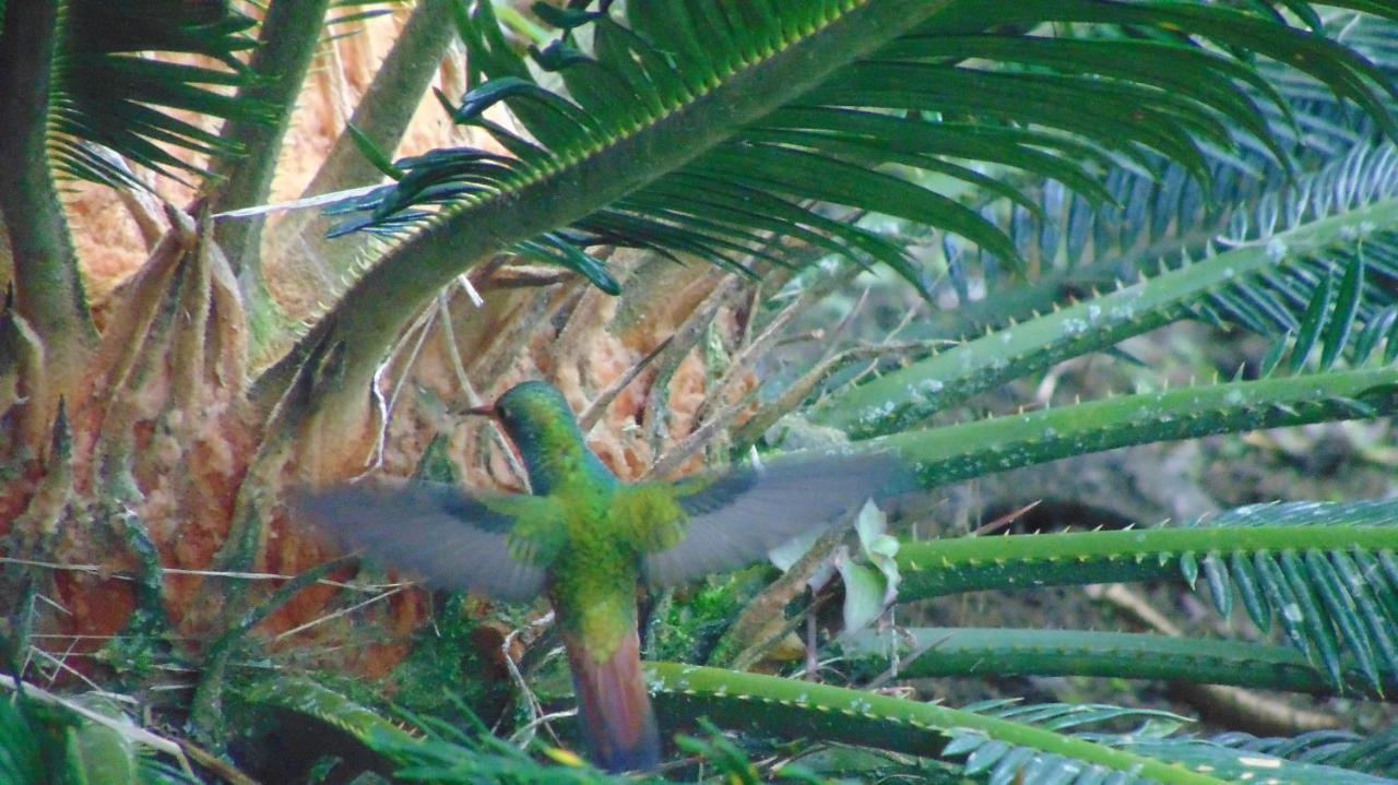 ארמניה Finca Hotel La Quinta Porra מראה חיצוני תמונה